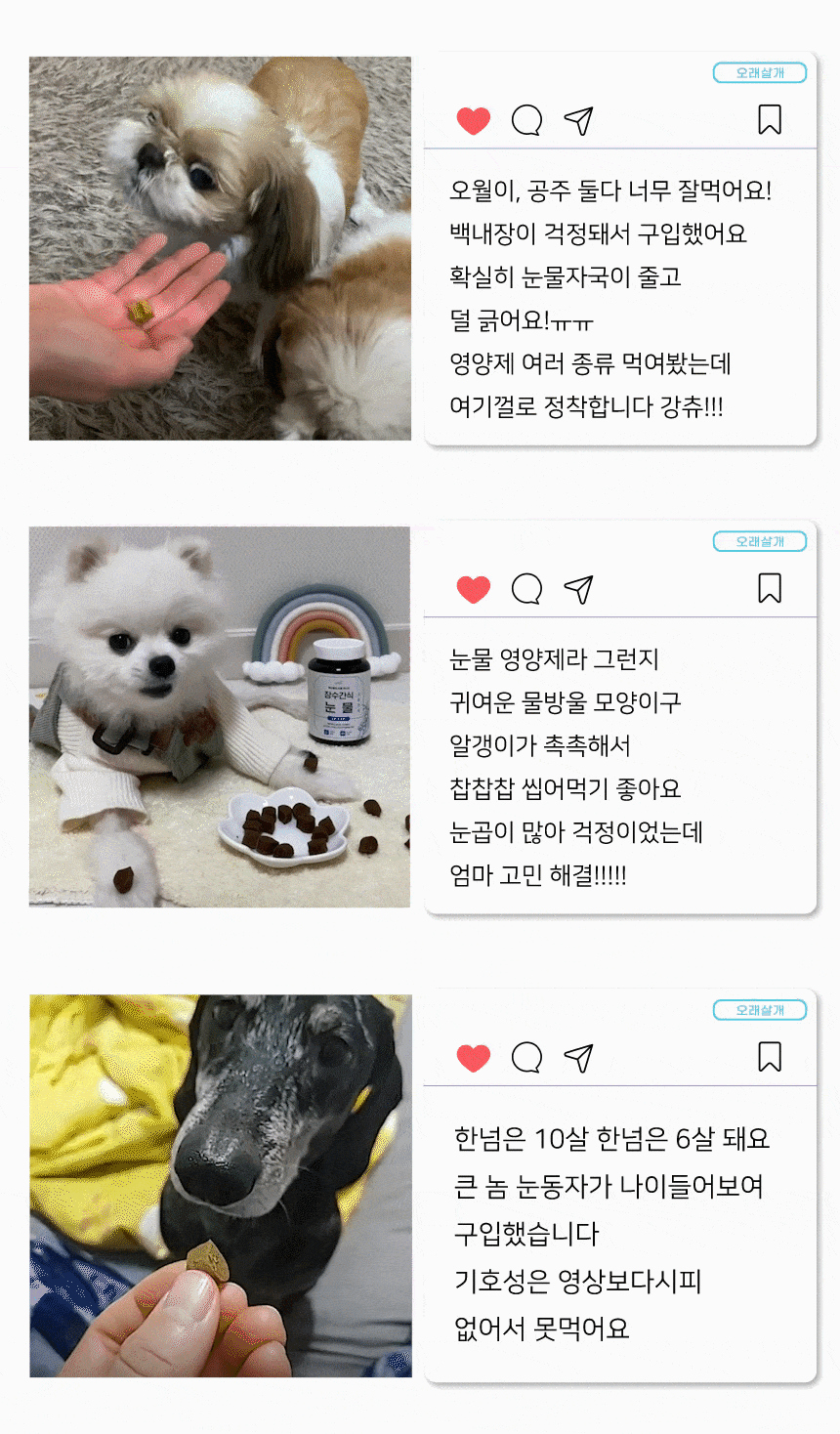 강아지 눈물영양제 동영상 후기