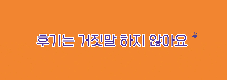 슈퍼푸드 덴탈츄 강아지껌 개껌 덴탈껌 후기